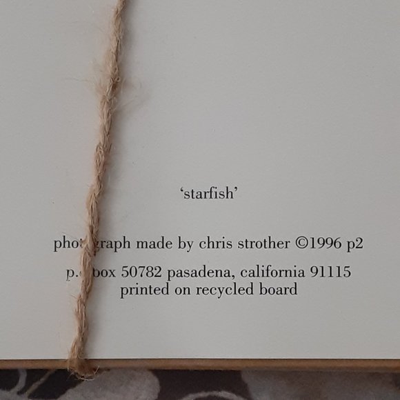 "Starfish" Stationary in wooden Box - Picture 7 of 8